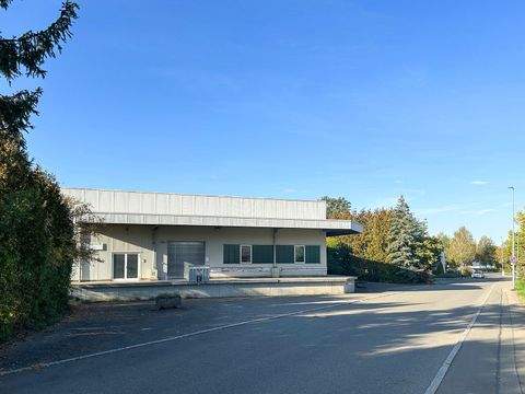 Reutlingen Halle, Reutlingen Hallenfläche