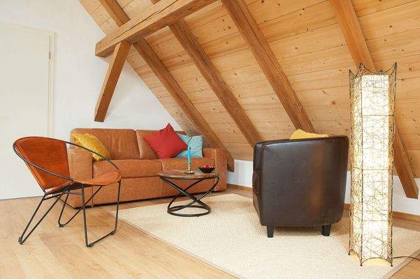 Sitzbereich im Wohnzimmer mit gemütlicher Schlafcouch.jpg