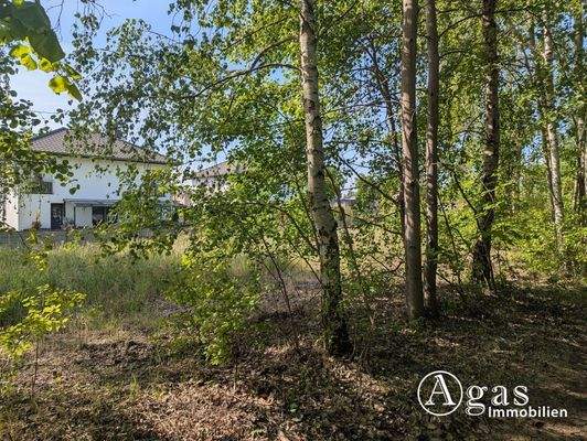 Blick auf Nachbarbebauung