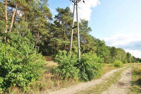 Sassenburg Grußendorf Grundstücke, Sassenburg Grußendorf Grundstück kaufen