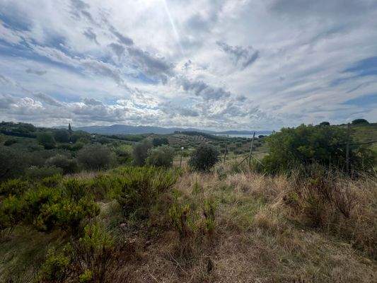 Grundstück Follonica Meerblick