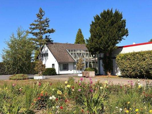 Blick über die Hoffläche von Süden