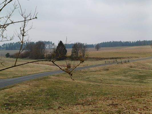 PHOTO-2025-04-01-11-01-53 6.jpg