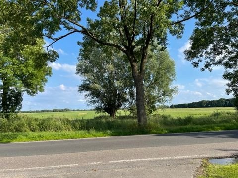 Sommerland Häuser, Sommerland Haus kaufen