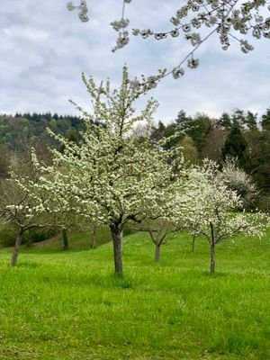 Natur pur in unmittelbarer Umgebung