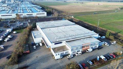 Lampertswalde Halle, Lampertswalde Hallenfläche