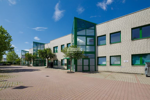 Chemnitz Halle, Chemnitz Hallenfläche