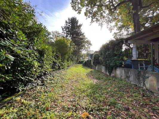 Pfeifenstiel - Blickrichtung Süden