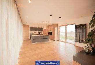 Wohnbereich Richtung Küche