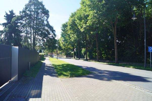 Anliegerstraße Richtung Bad Saarow