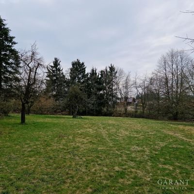 Wiese mit Obstbäumen