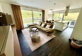 Wohn-/Ess-/Kochbereich