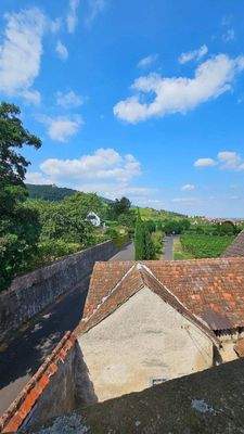 Blick in Rheinebene (3).jpg