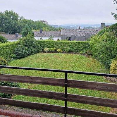 Blick in den schönen Garten