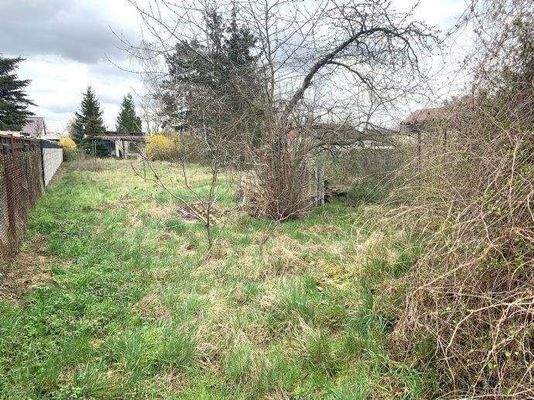 Blick von der Grundstücksmitte