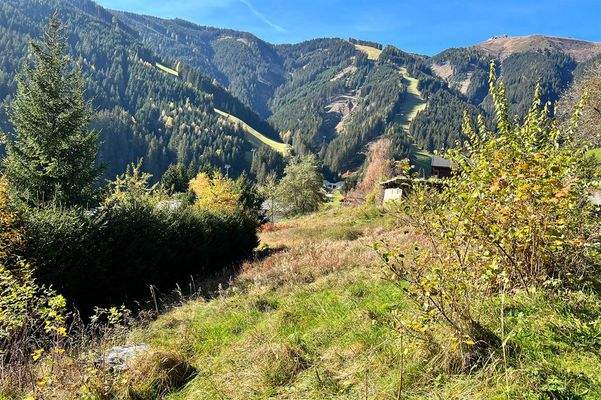 ... auf das Bergpanorama