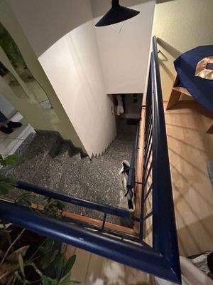 Treppenaufgang + Garderobe in der Wohnung