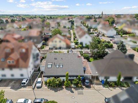 Ellerstadt Häuser, Ellerstadt Haus kaufen