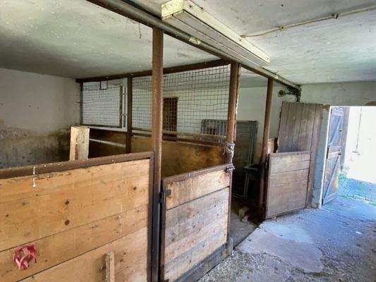 Pferdeboxen/ Abstellraum