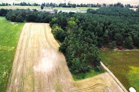 Beelitz OT Schönefeld Bauernhöfe, Landwirtschaft, Beelitz OT Schönefeld Forstwirtschaft