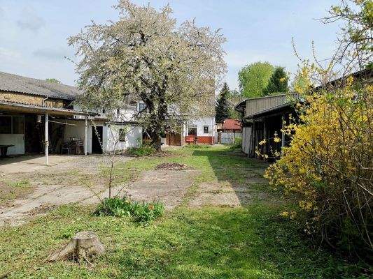 Blick von Wiese zum Haus