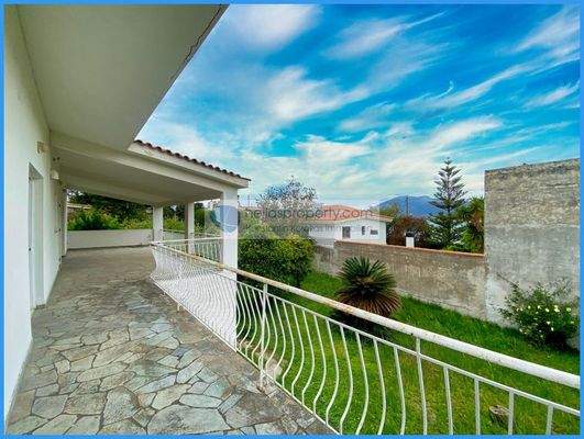 4d58554e98d04ed6b98c4dddb3229b2a-original