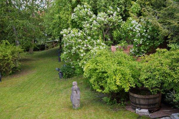 Blick in den Garten v. OG