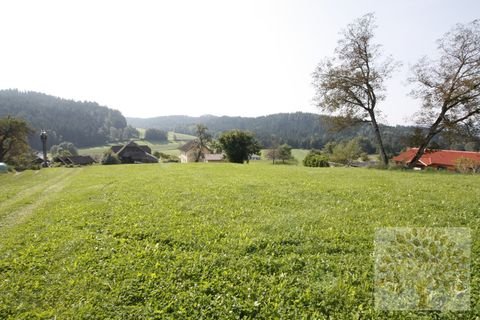 Feldkirchen in Kärnten / Hart Grundstücke, Feldkirchen in Kärnten / Hart Grundstück kaufen