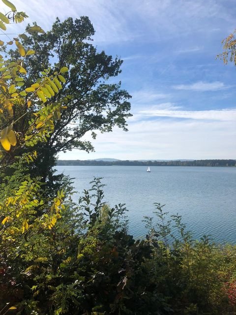 Steinberg am See Wohnungen, Steinberg am See Wohnung kaufen