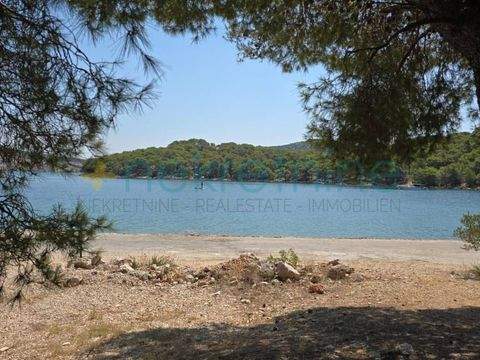 Murter-Kornati Bauernhöfe, Landwirtschaft, Murter-Kornati Forstwirtschaft