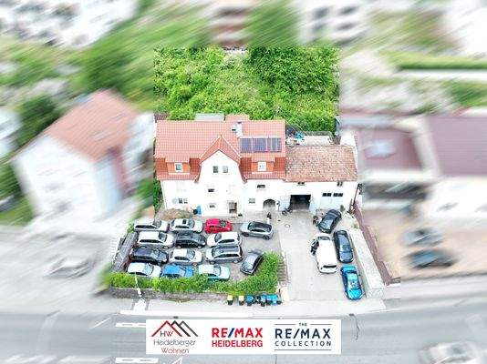 WhatsApp Image 2025-05-19 at 12.13.15