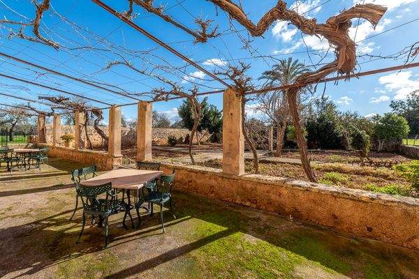 Terrasse und weitläufiger Garten