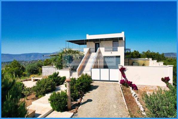 aed1846ea6b243f6b441228f46945b8f-original