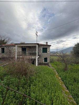 WhatsApp Image 2026-01-05 at 11.42.30 (4).jpeg