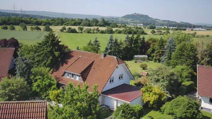 Blick auf die Amöneburg