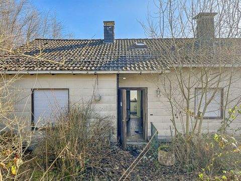 Reichshof Häuser, Reichshof Haus kaufen