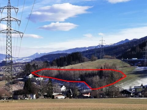 Sankt Barbara im Mürztal Bauernhöfe, Landwirtschaft, Sankt Barbara im Mürztal Forstwirtschaft