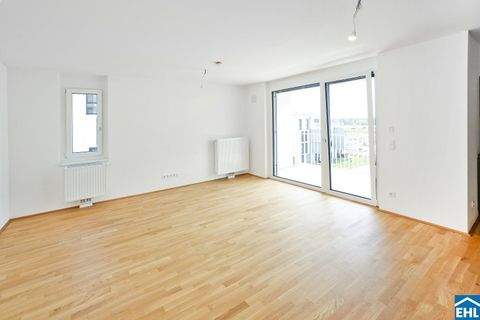 Wien Wohnungen, Wien Wohnung mieten