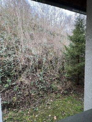 So sieht es hinter dem Haus aus