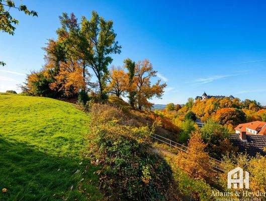 Blick aus dem Garten