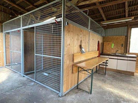 20 - Hundezwinger.jpg