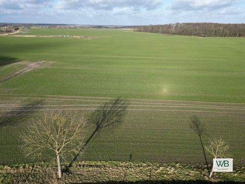 Salzwedel Grundstücke, Salzwedel Grundstück kaufen