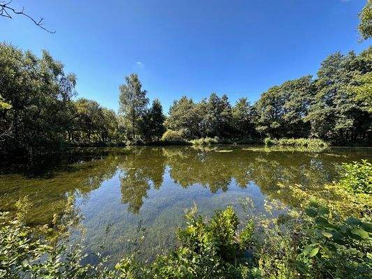 Idyllisch gelegene Teichanlage mit angrenzenden Waldflächen Teich