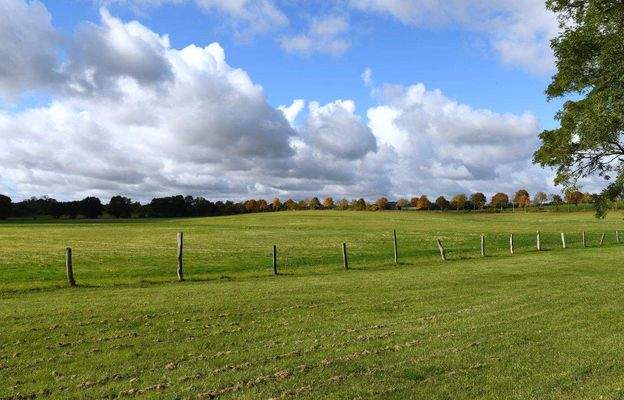 unterer Grundstücksbereich