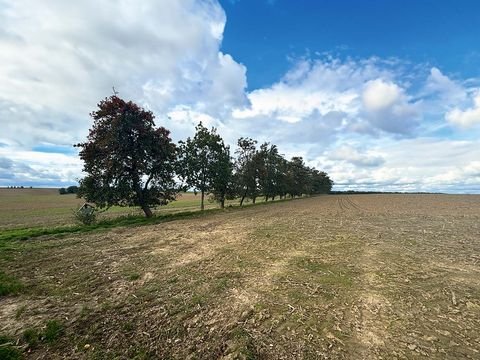 Mügeln Bauernhöfe, Landwirtschaft, Mügeln Forstwirtschaft