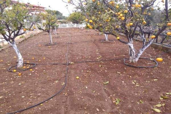 Kreta, Ammoudara: Haus mit 3 Wohnungen in Meeresnähe zu verkaufen