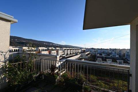 Heidelberg Wohnungen, Heidelberg Wohnung mieten