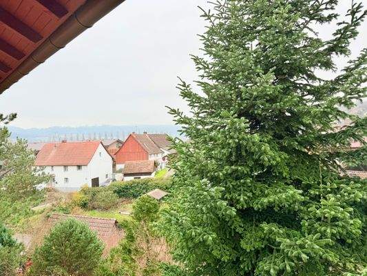 WhatsApp Image 2026-01-04 at 20.53.12.jpeg