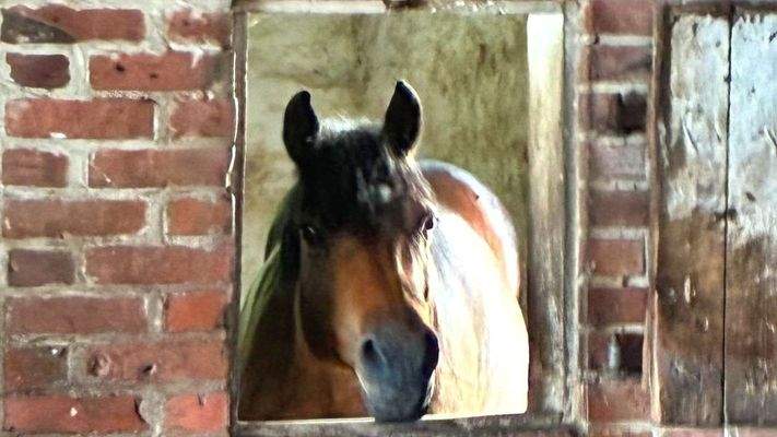 Ein Ort zum Wohlfühlen