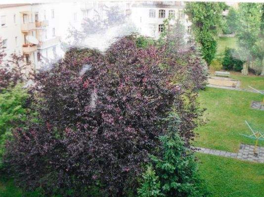 Blick aus Schlafzimmer in den Gemeinschaftsgarten